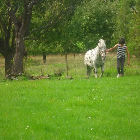 In Gimn E With Garden, Cleaning Included Holiday home Gimnee